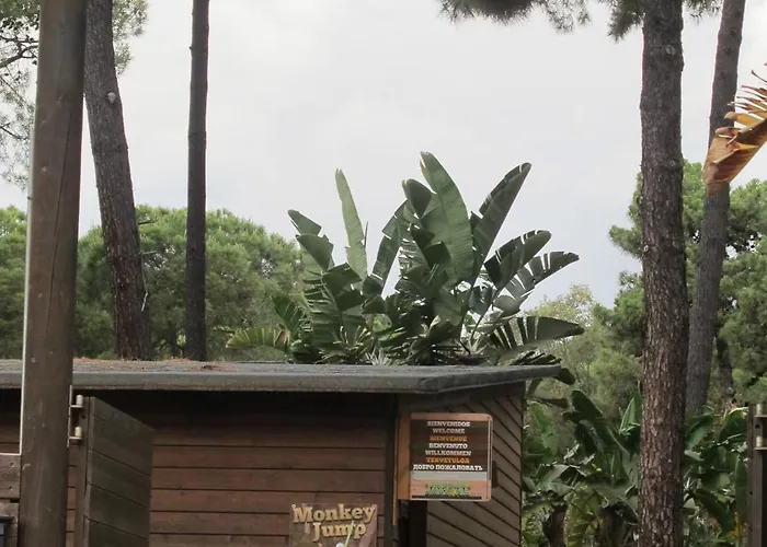 Apartamento En Los Patios De Santa Maria Golf
